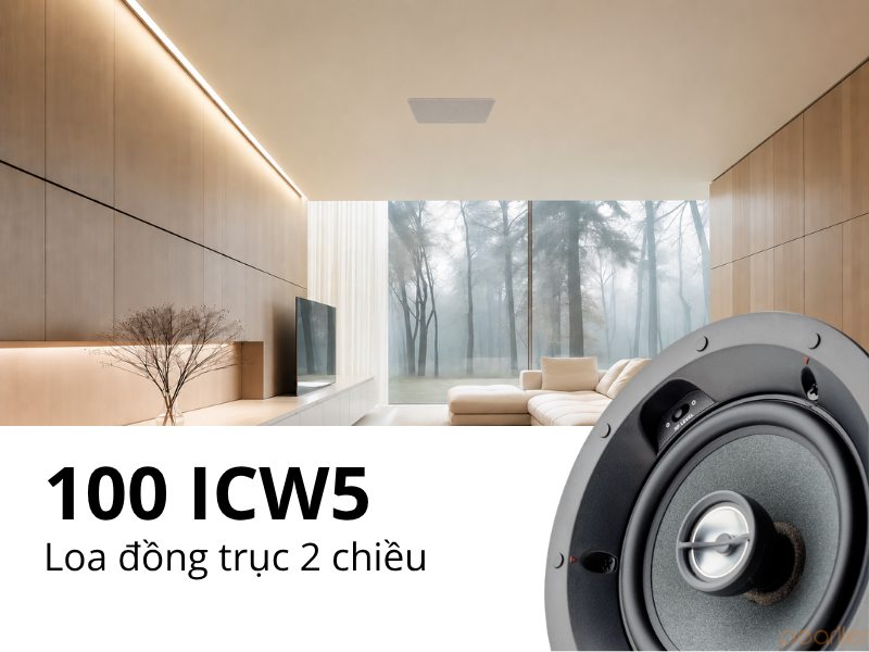 loa am tran mat luoi vuong focal 100 icw5