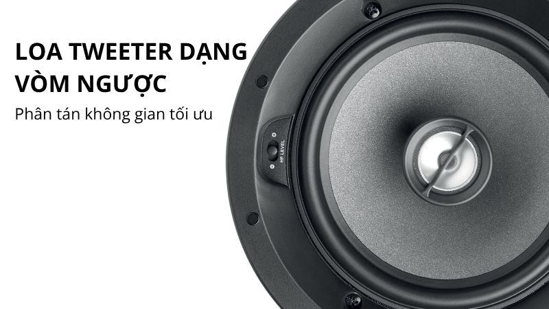 loa am tran focal 100 icw6