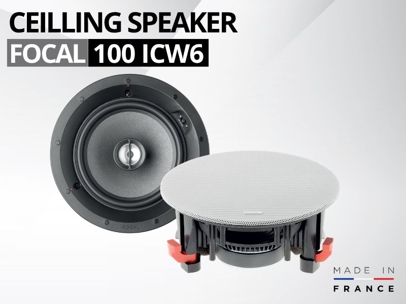 loa am tran focal 100 icw6
