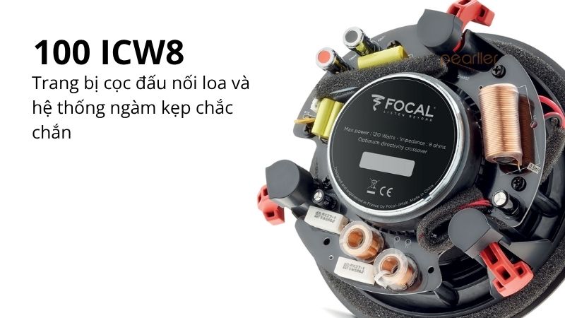 loa am tran focal 100 icw8
