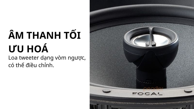 loa focal 100 icw8