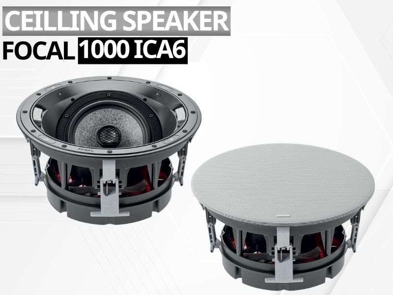 loa am tran focal 1000 ica6
