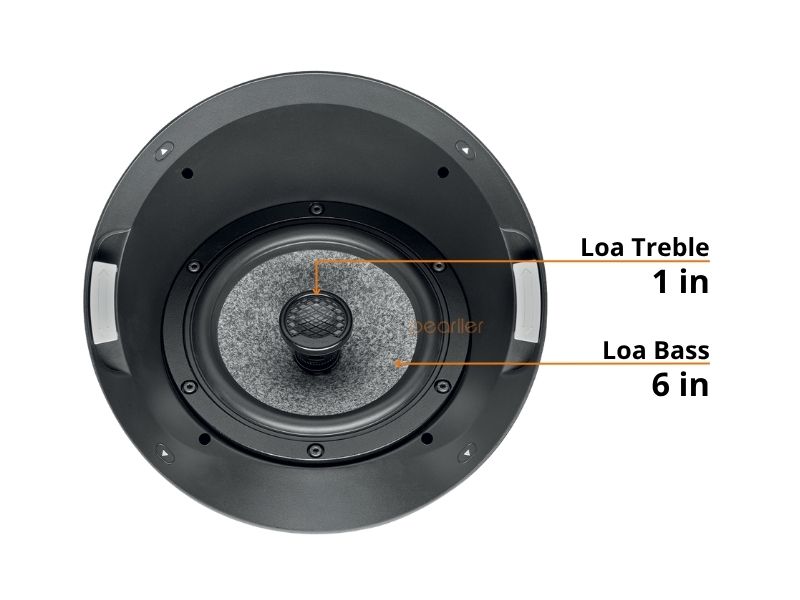 loa focal 1000 ica6