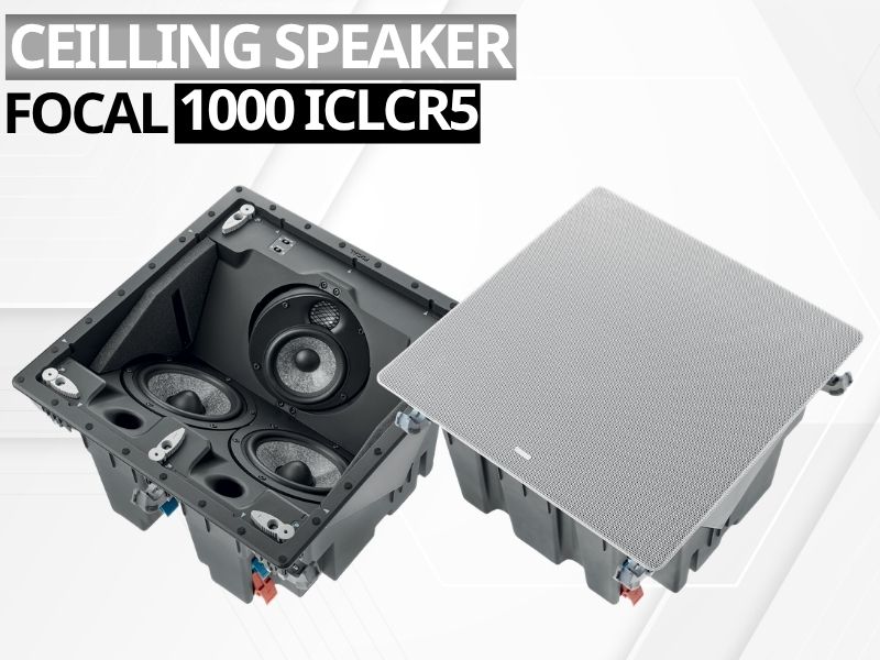 loa am tran focal 1000 iclcr5