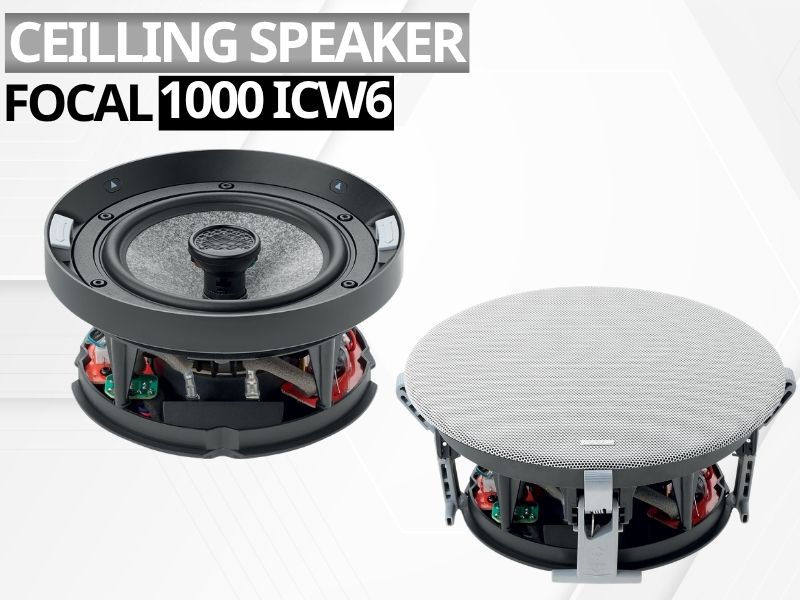 loa am tran focal 1000 icw6