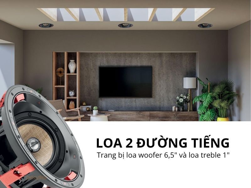 loa am tran mat luoi vuong focal 300 ica6 (2)