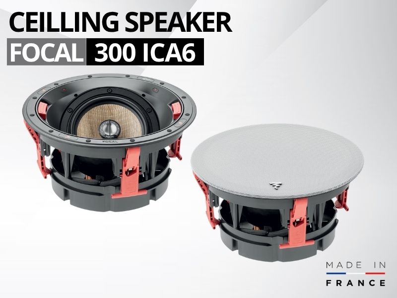 loa focal ica6