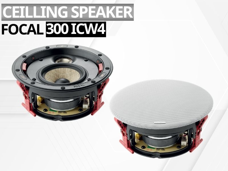 loa am tran focal 300 icw4