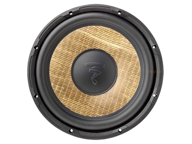 loa focal 300 icw4