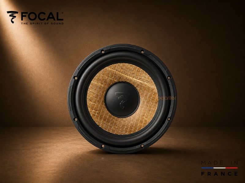 loa am tran focal 300 icw6
