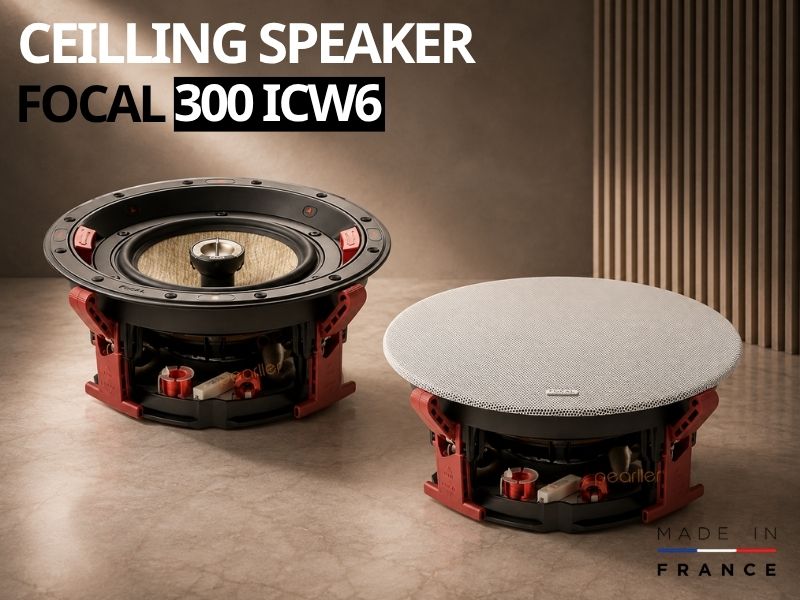 loa am tran focal 300 icw6