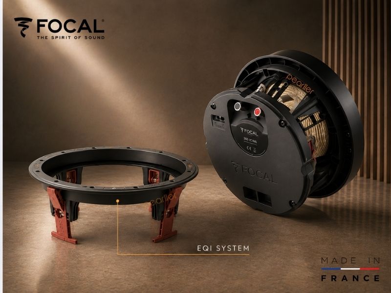 loa focal 300 icw6