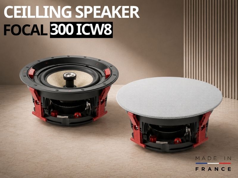loa am tran focal 300 icw8
