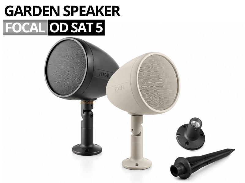 loa san vuon focal od sat 5