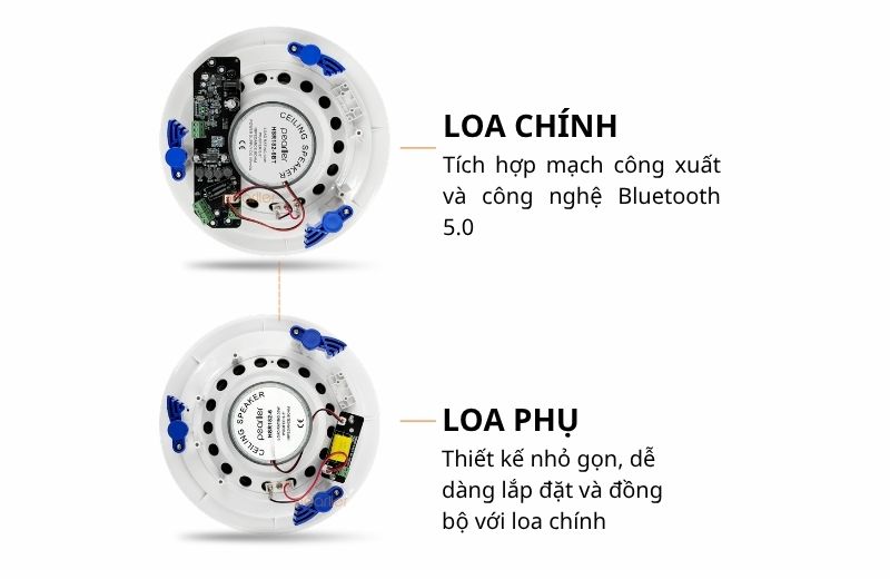 loa am tran pearller hsr182 6bt (5)