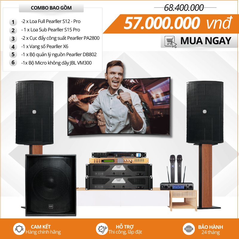 dan karaoke gia dinh cao cap pearller s12 pro