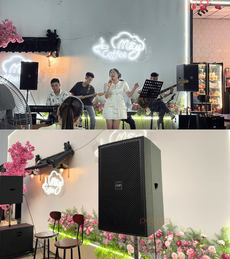 2loa san khau bass 30 pearller tr12