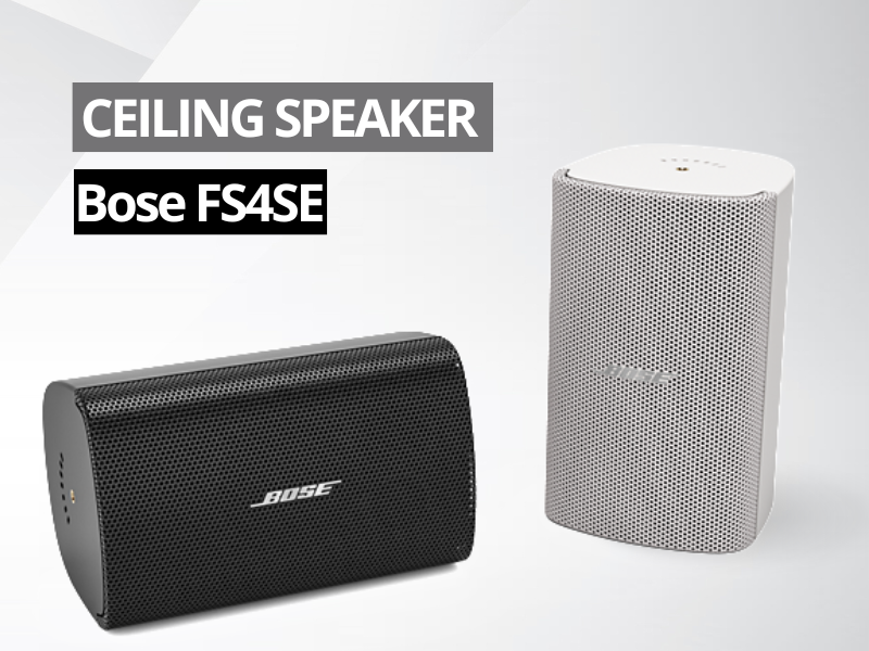 loa treo tuong bose fs4se